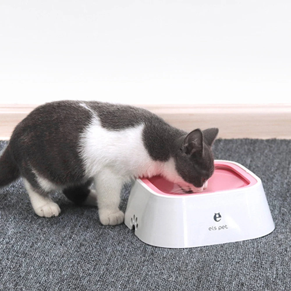 Cat drinking from a pink and white pet bowl on a gray carpet.