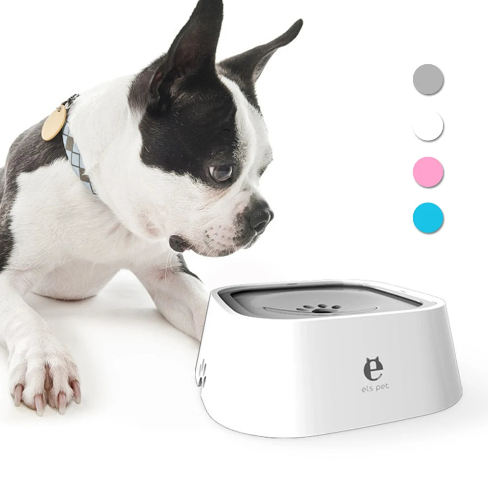Dog interacting with a white pet water bowl on a white background