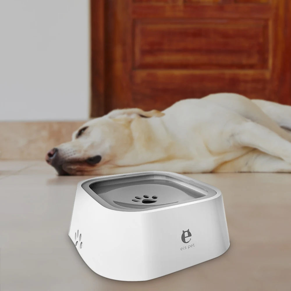 Dog water bowl with paw print design on a wooden floor, dog lying in the background